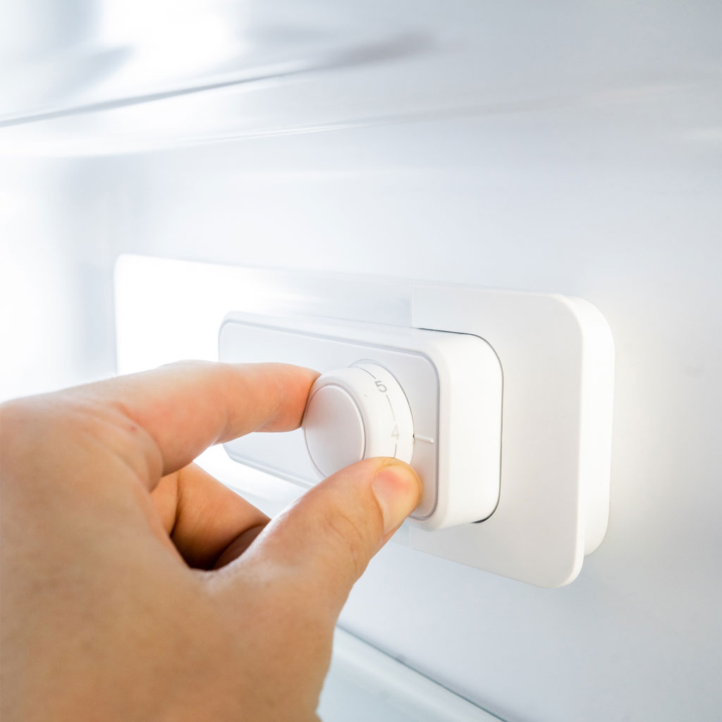 Danby appliances 4.5 cu ft compact fridge stainless DCR045B1SLDB close‑up of hand adjusting internal temperature control dial inside the fridge